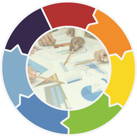 Graphic showing a circle divided into seven segments, indicating a cyclical process.