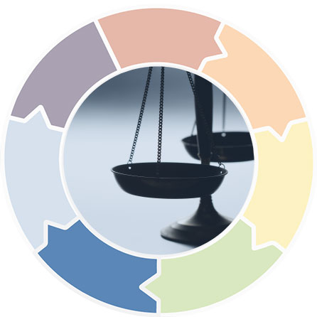 Graphic showing a circle divided into seven segments, indicating a cyclical process.