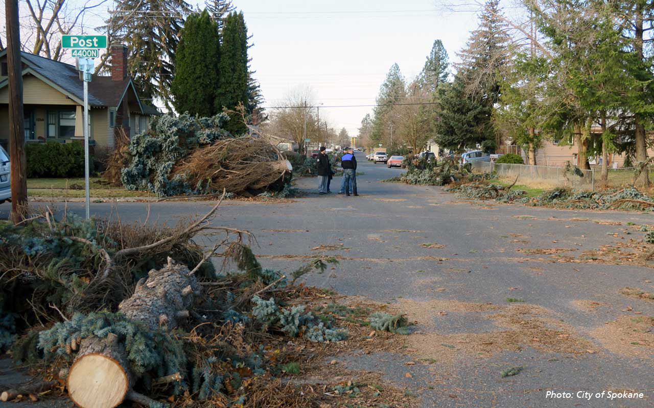 Photograph of a residential street strewn with downed trees and branches.