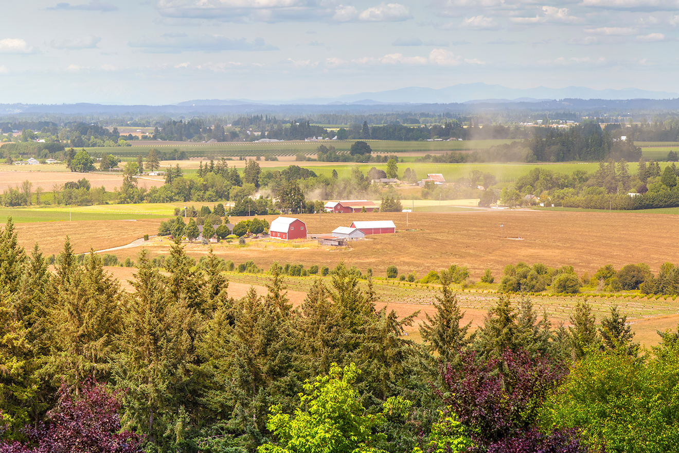 image of a farm field